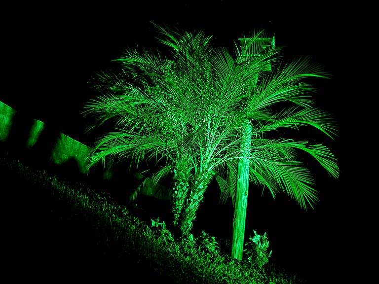 Chalé na Natureza | Hidro | Lareira | Wi-Fi